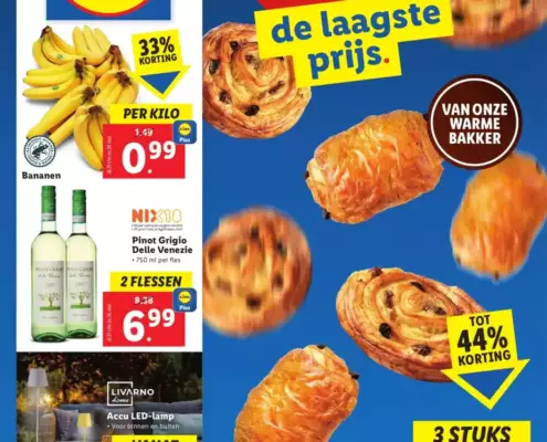 Lidl Folder Week 21 - 21.05.2024 - 26.05.2024