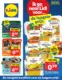 Lidl Folder Week 30 - 22.07.2024 - 28.07.2024