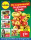 Lidl Folder Week 41 - 07.10.2024 - 13.10.2024