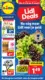 Lidl Folder Week 10 - 03.03.2025 - 09.03.2025