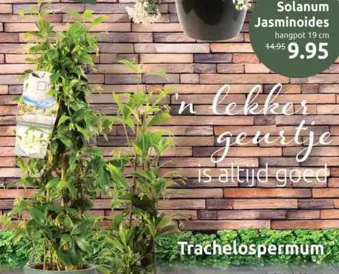 Deka-tuin Folder 12.05.2025 - 24.05.2025