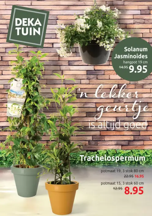 Deka-tuin Folder 12.05.2025 - 24.05.2025