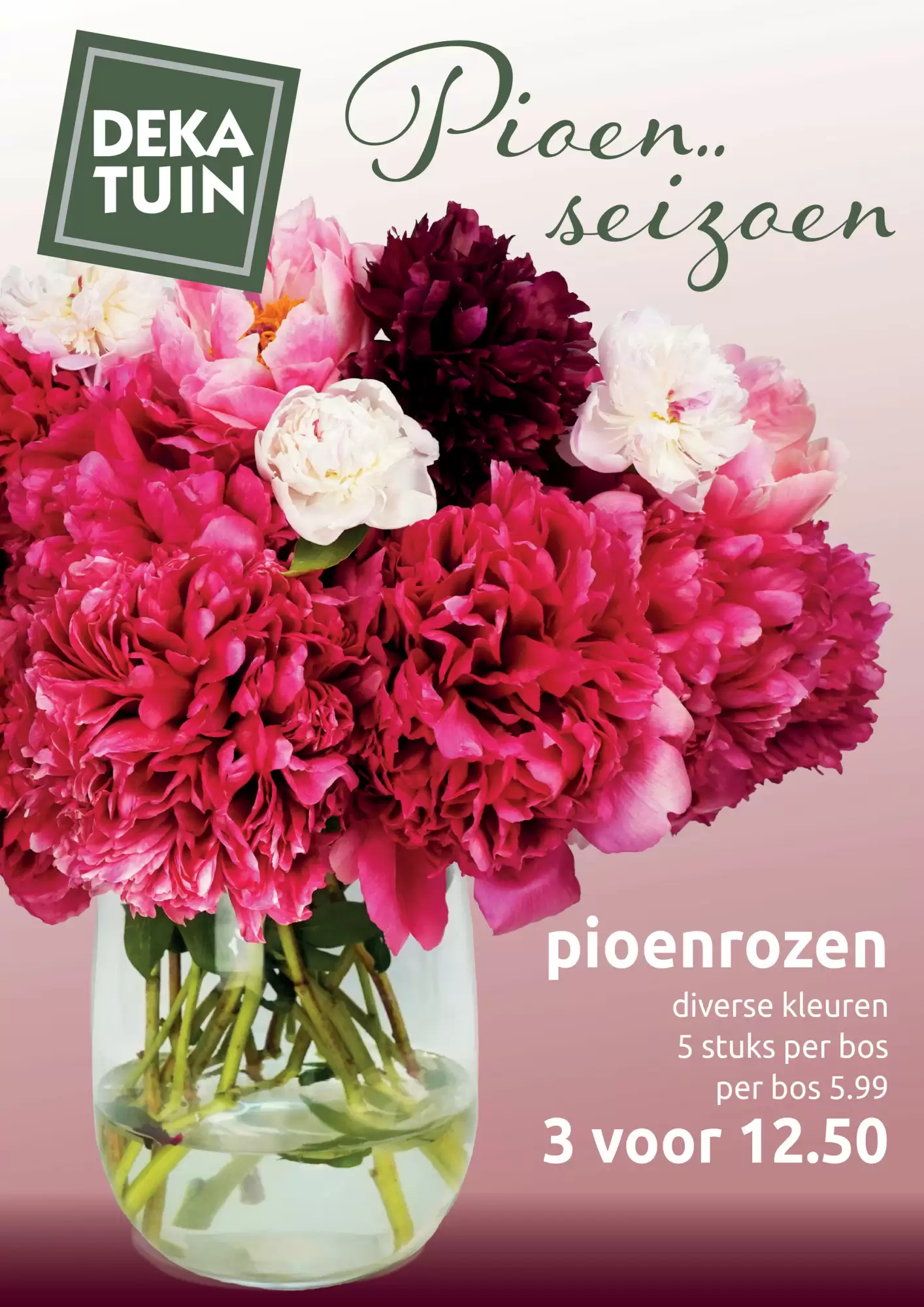 Deka Tuin Folder 27.05.2025 - 07.06.2025