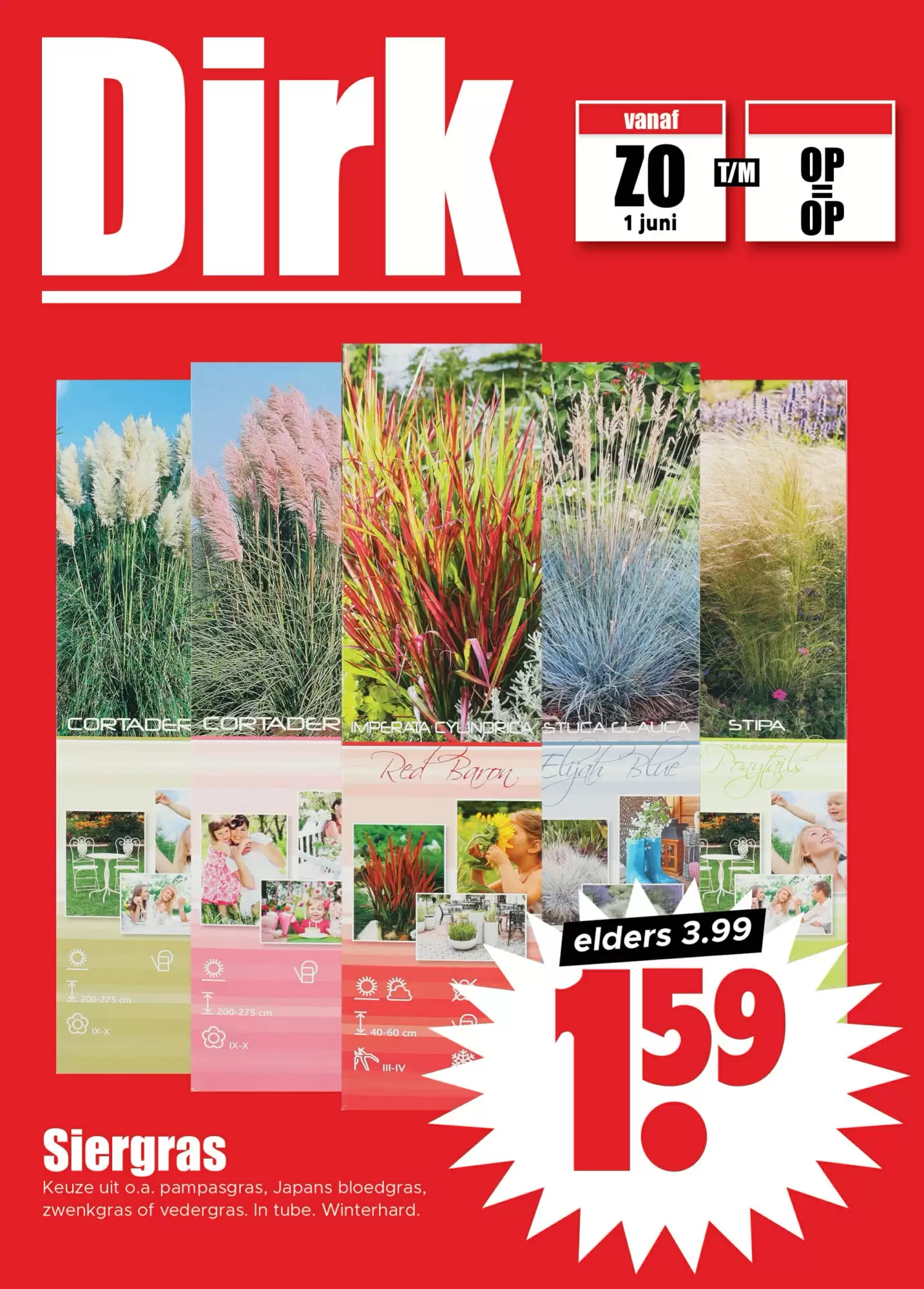 Dirk Folder 01.06.2025 - 07.06.2025