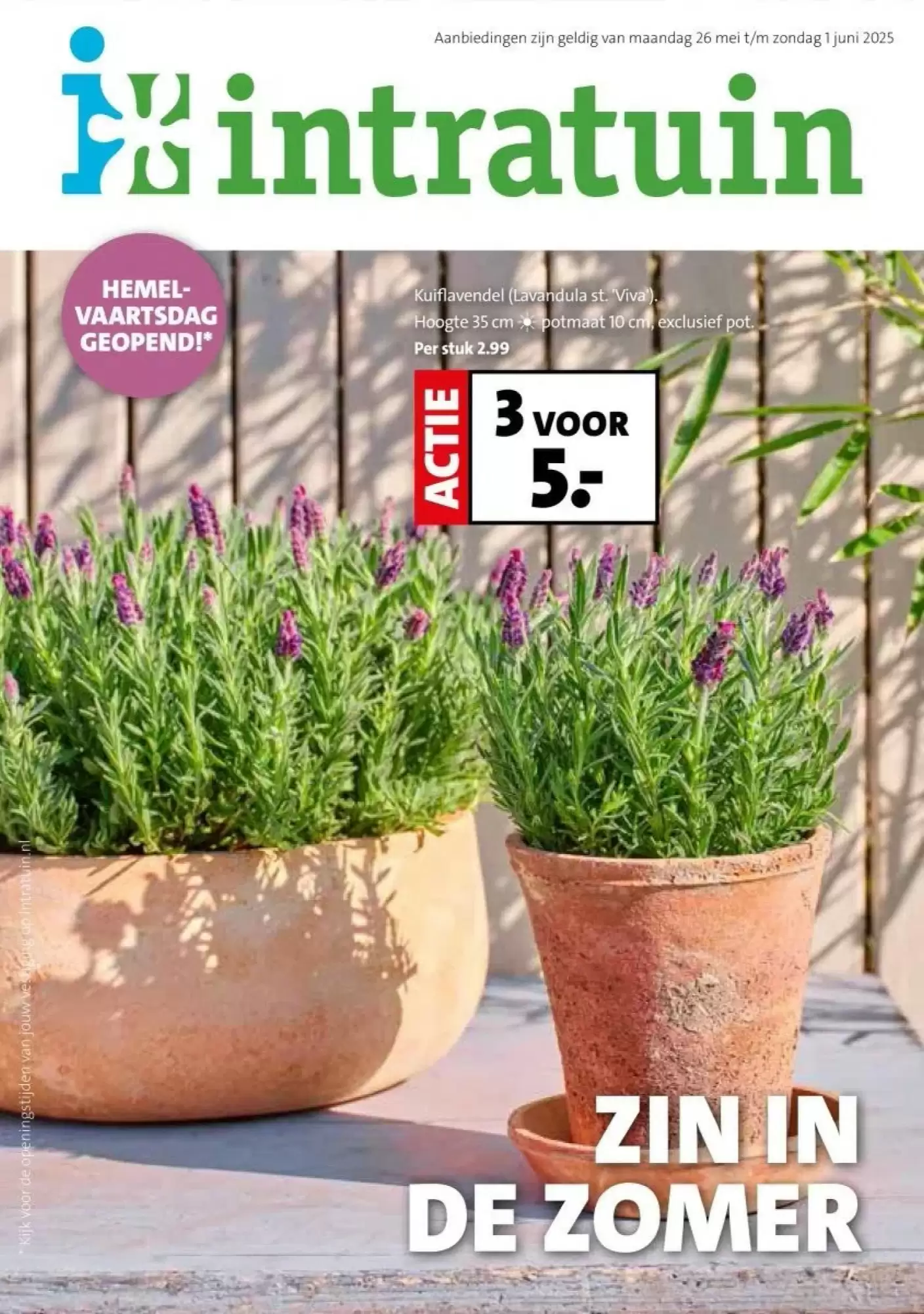 Intratuin Folder 26.05.2025 - 01.06.2025