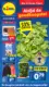 Lidl Folder 02.06.2025 - 08.06.2025