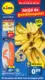 Lidl Folder Week 21- 19.05.2025 - 25.05.2025