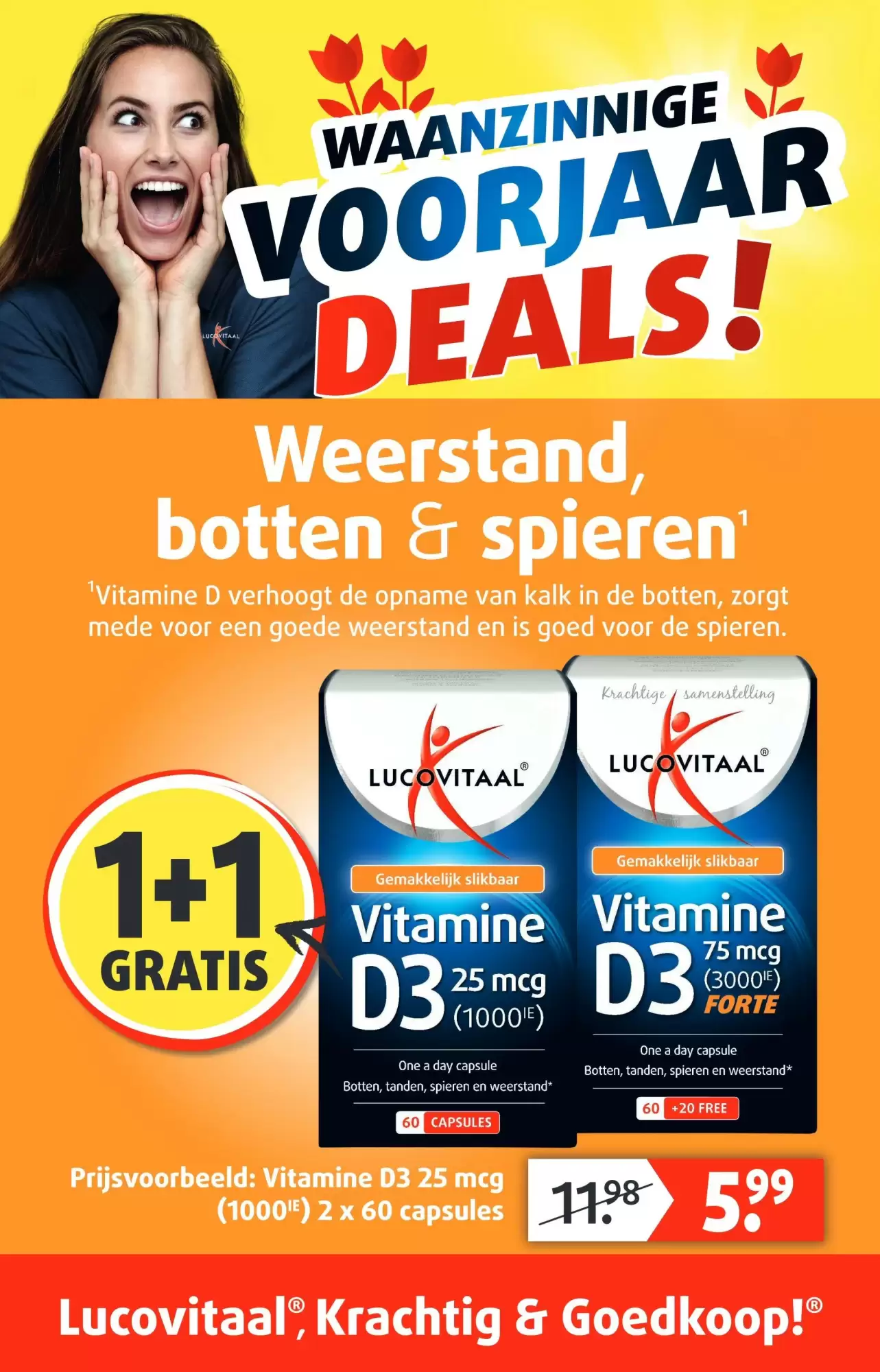 Lucovitaal Folder 25.05.2025 - 31.05.2025