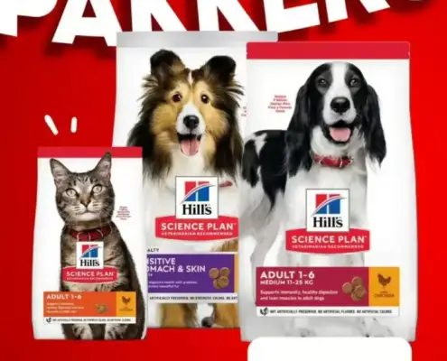 Pets Place Folder 19.05.2025 - 31.05.2025