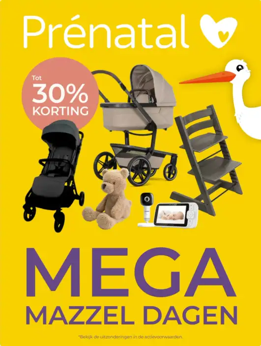 Prenatal Folder 28.05.2025 - 31.05.2025
