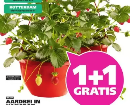 Ranzijn Folder 11.05.2025 - 24.05.2025