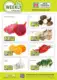 Amazing Oriental Folder 18.06.2025 - 24.06.2025