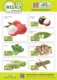 Amazing Oriental Folder 25.06.2025 - 01.07.2025