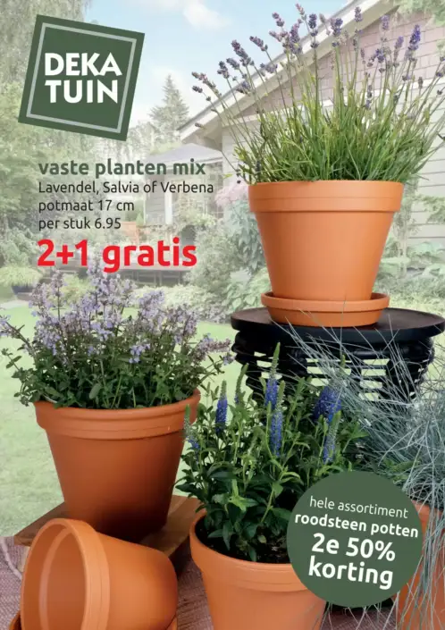 Deka Tuin Folder 13.06.2025 - 22.06.2025