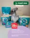 Maxi Zoo Folder 09.06.2025 - 15.06.2025