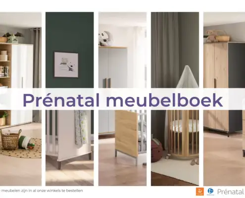 Prenatal Folder 04.06.2025 - 17.06.2025