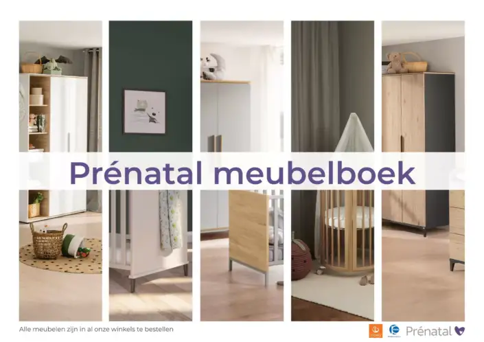 Prenatal Folder 04.06.2025 - 17.06.2025