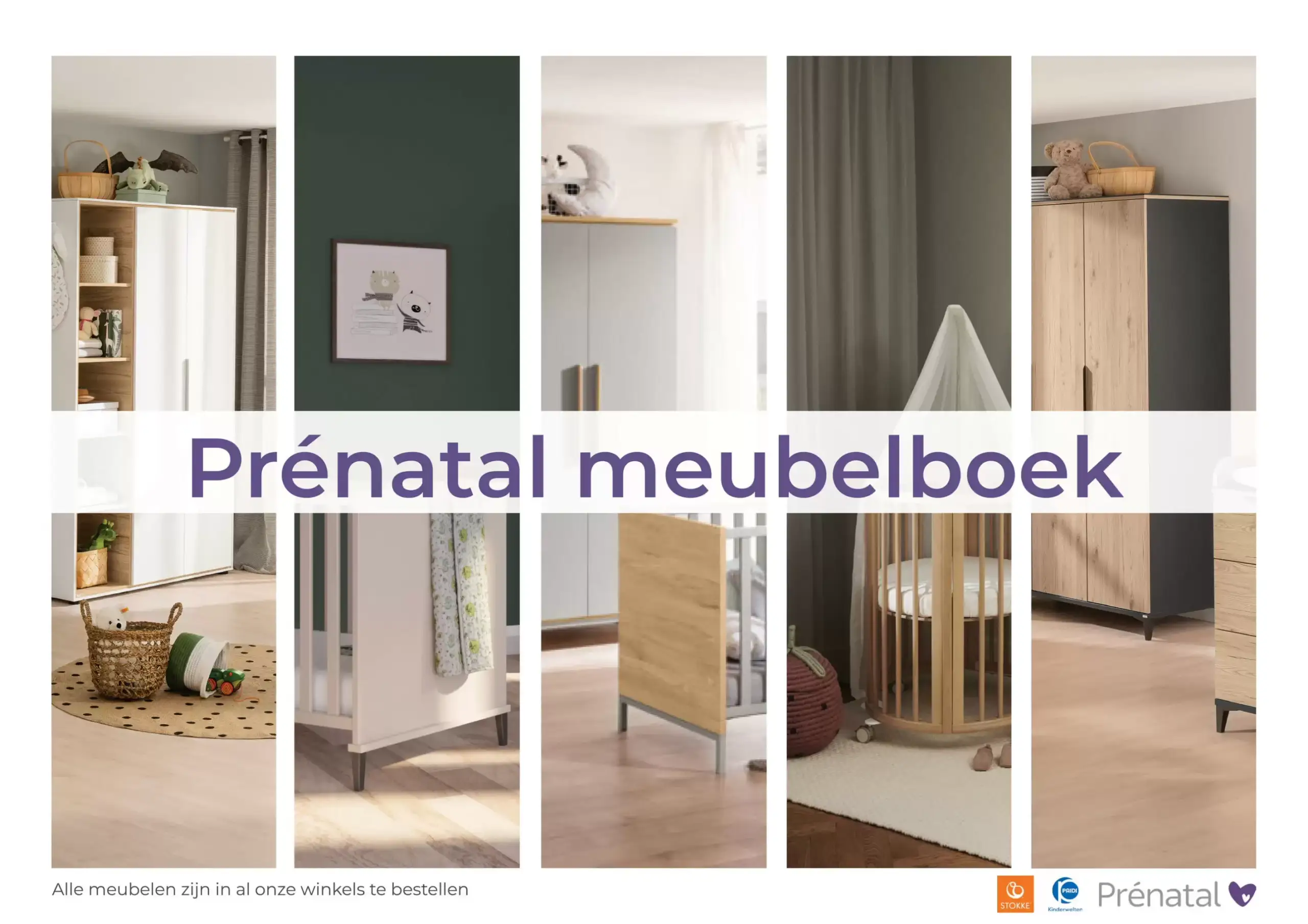 Prenatal Folder 04.06.2025 - 17.06.2025