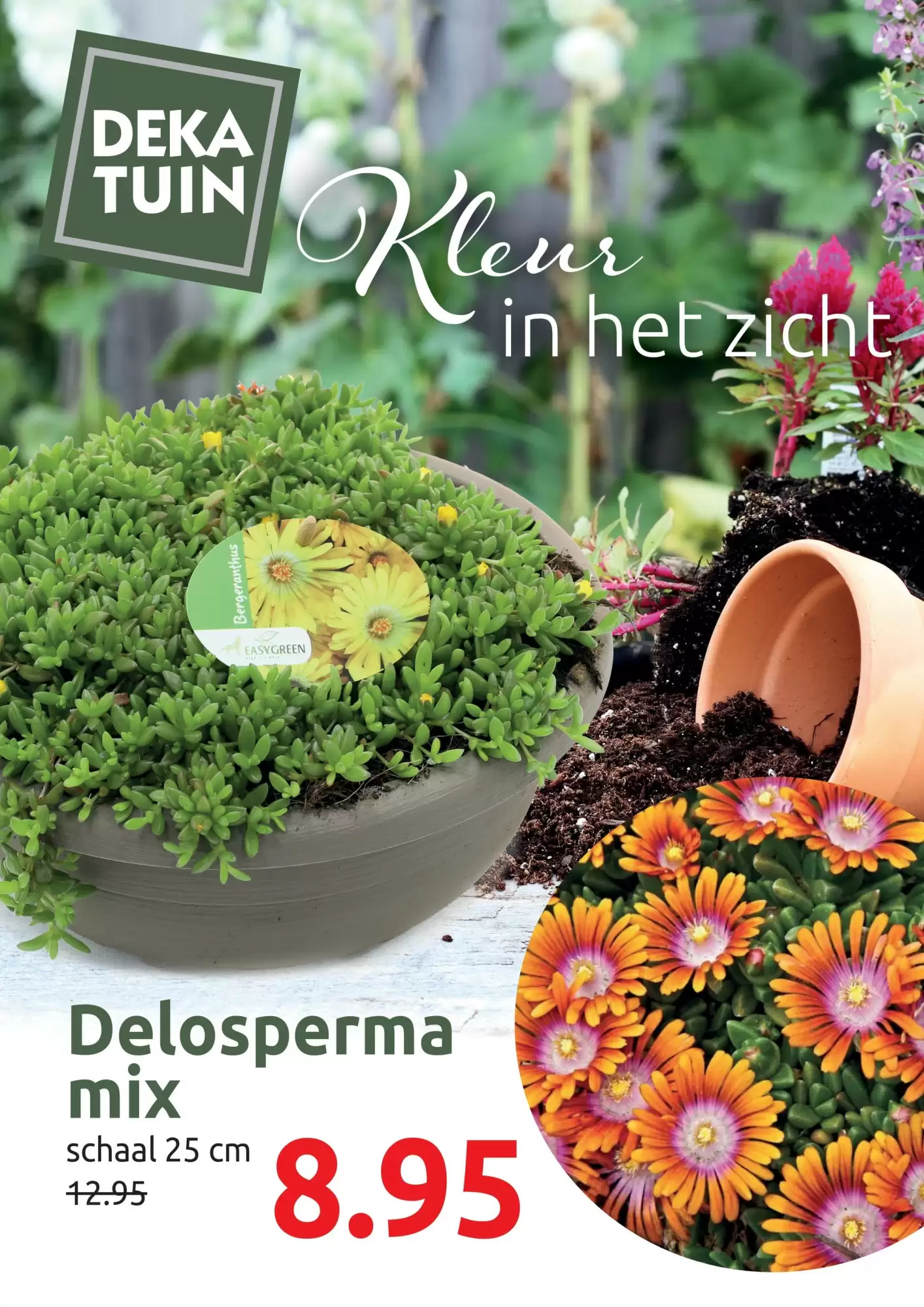 Deka Tuin Folder 07.07.2025 - 13.07.2025