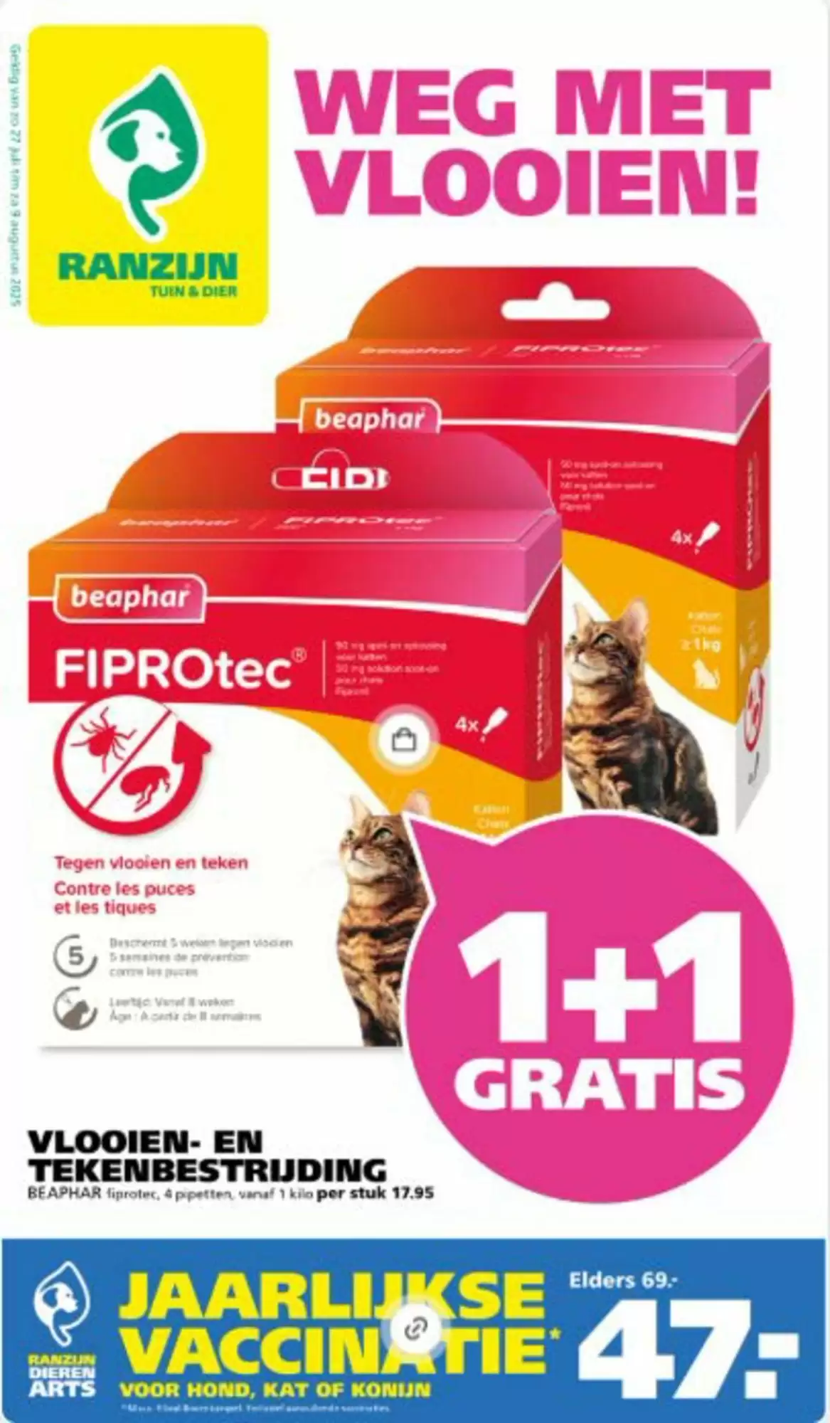 Ranzijn Folder 21.07.2025 - 09.08.2025