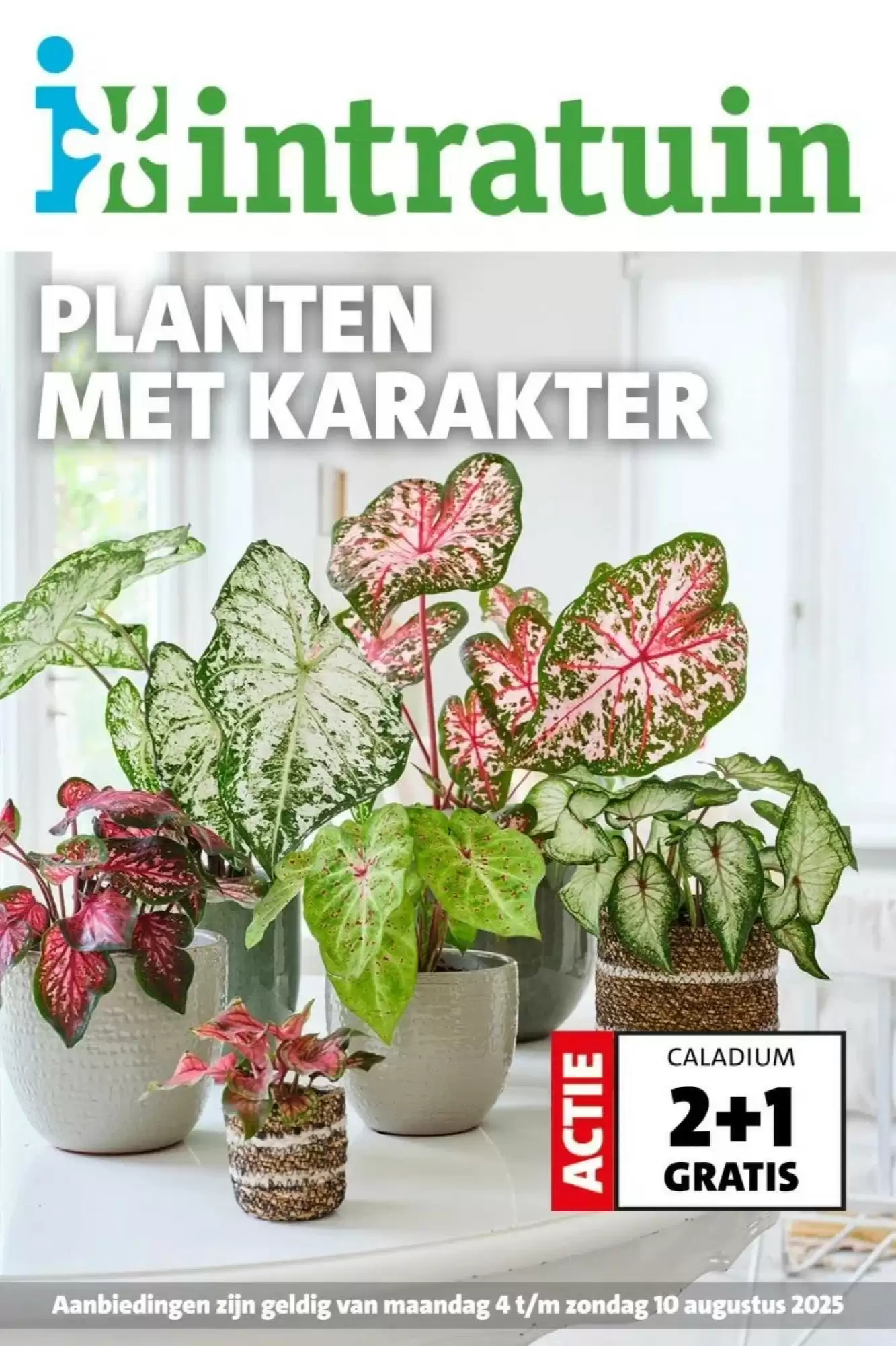 Intratuin Folder 04.08.2025 - 10.08.2025
