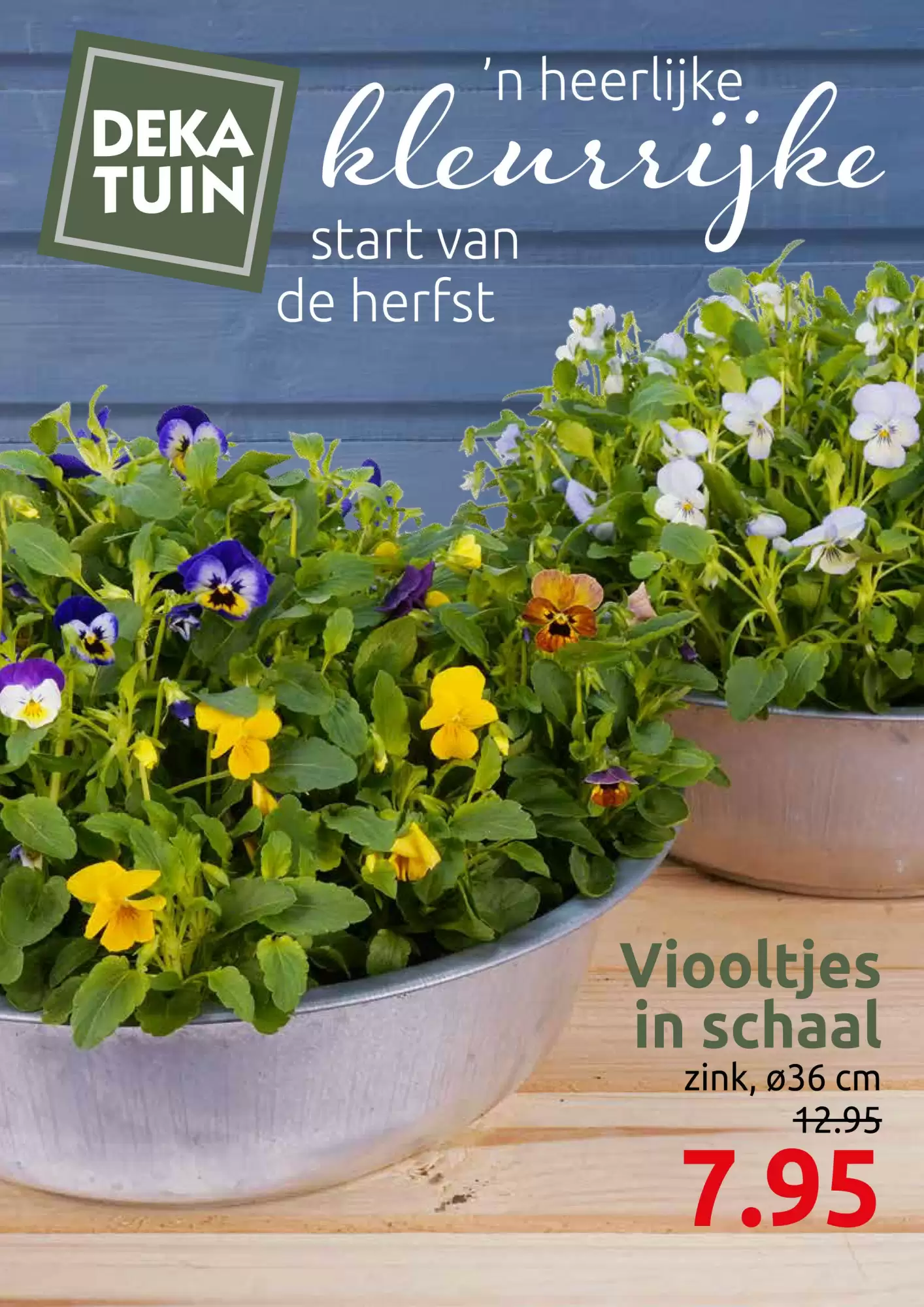Deka Tuin Folder 15.09.2025 - 28.09.2025
