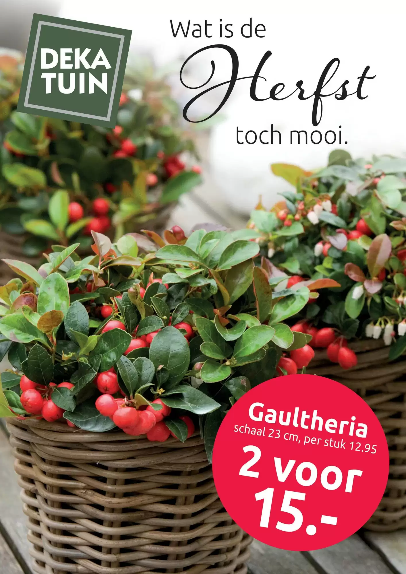 Deka Tuin Folder 13.10.2025 - 26.10.2025