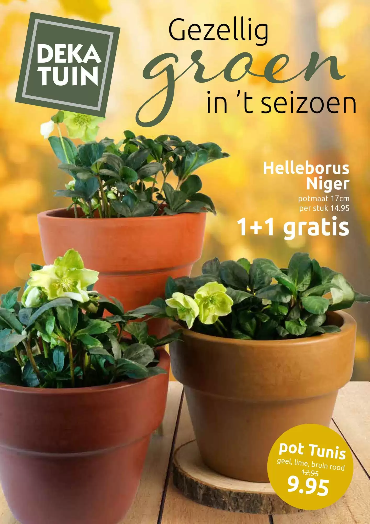 Deka Tuin Folder 27.10.2025 - 09.11.2025