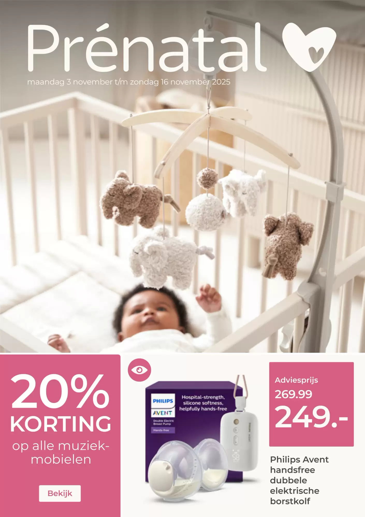 Prenatal Folder 03.11.2025 - 16.11.2025
