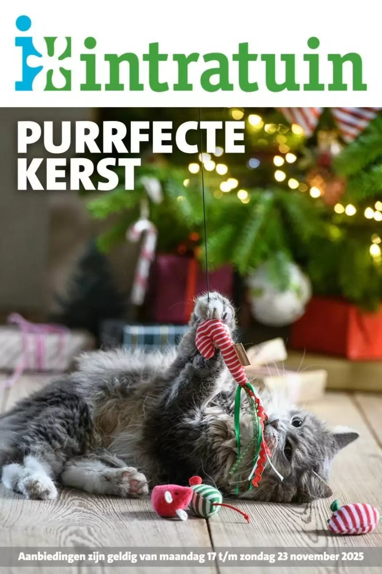 Intratuin Folder 17.11.2025 - 23.11.2025