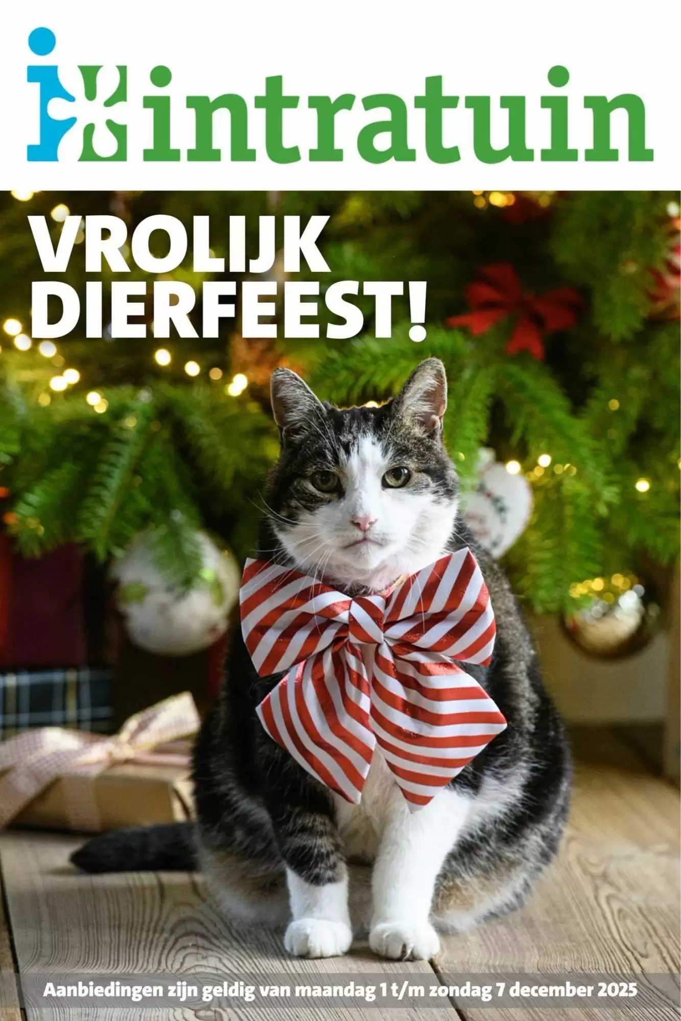 Intratuin Folder 01.12.2025 - 07.12.2025