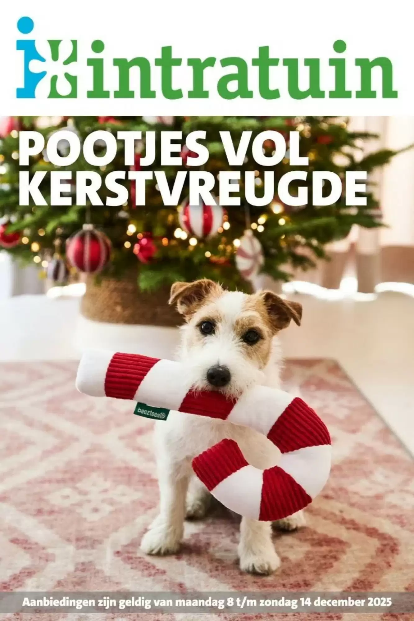 Intratuin Folder 08.12.2025 - 14.12.2025