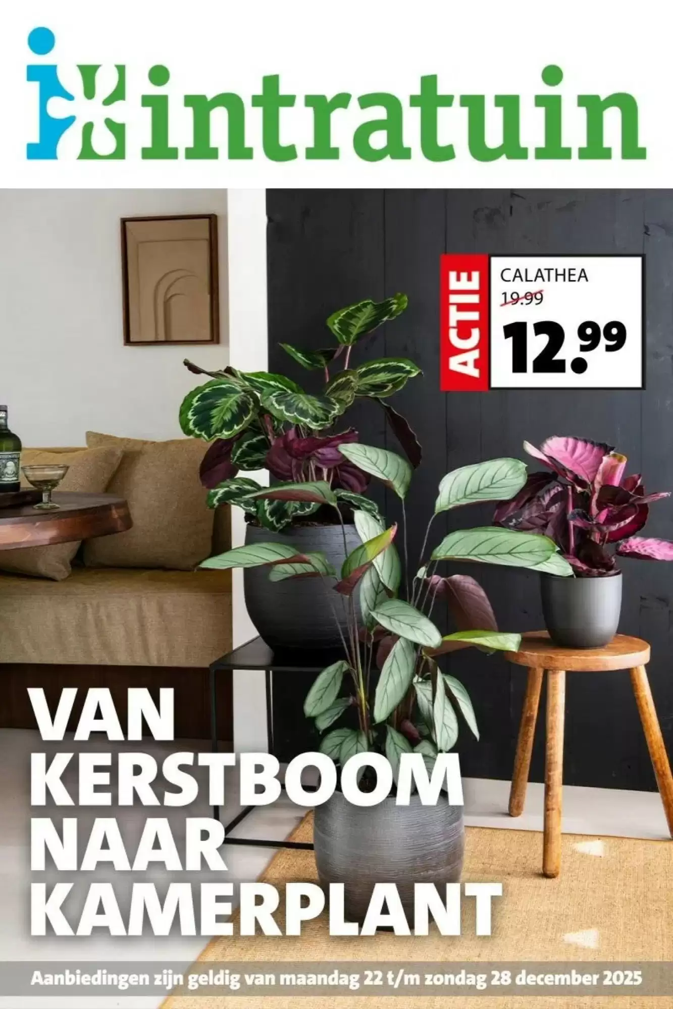 Intratuin Folder 22.12.2025 - 28.12.2025