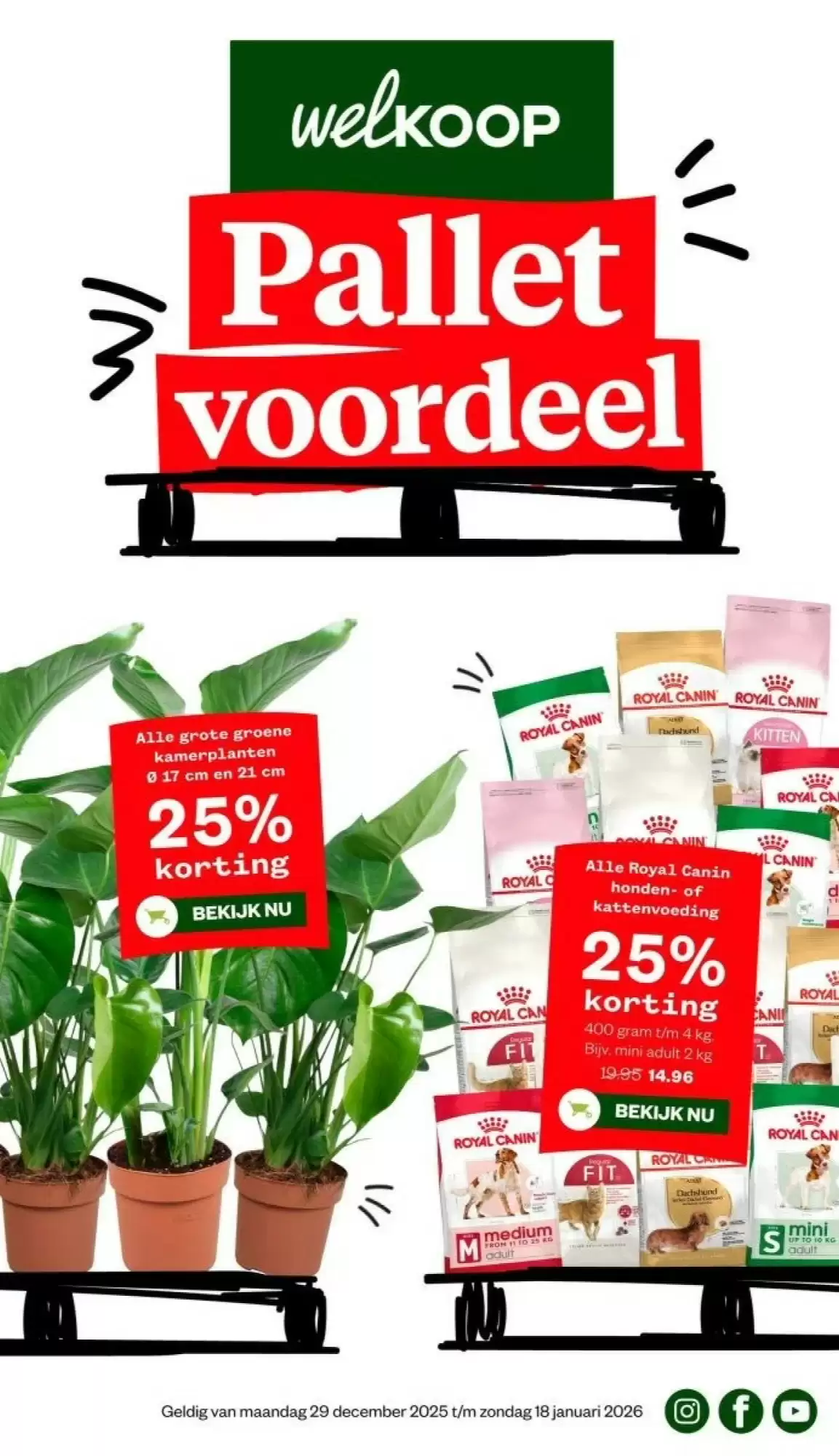 Welkoop Folder 29.12.2025 - 04.01.2026