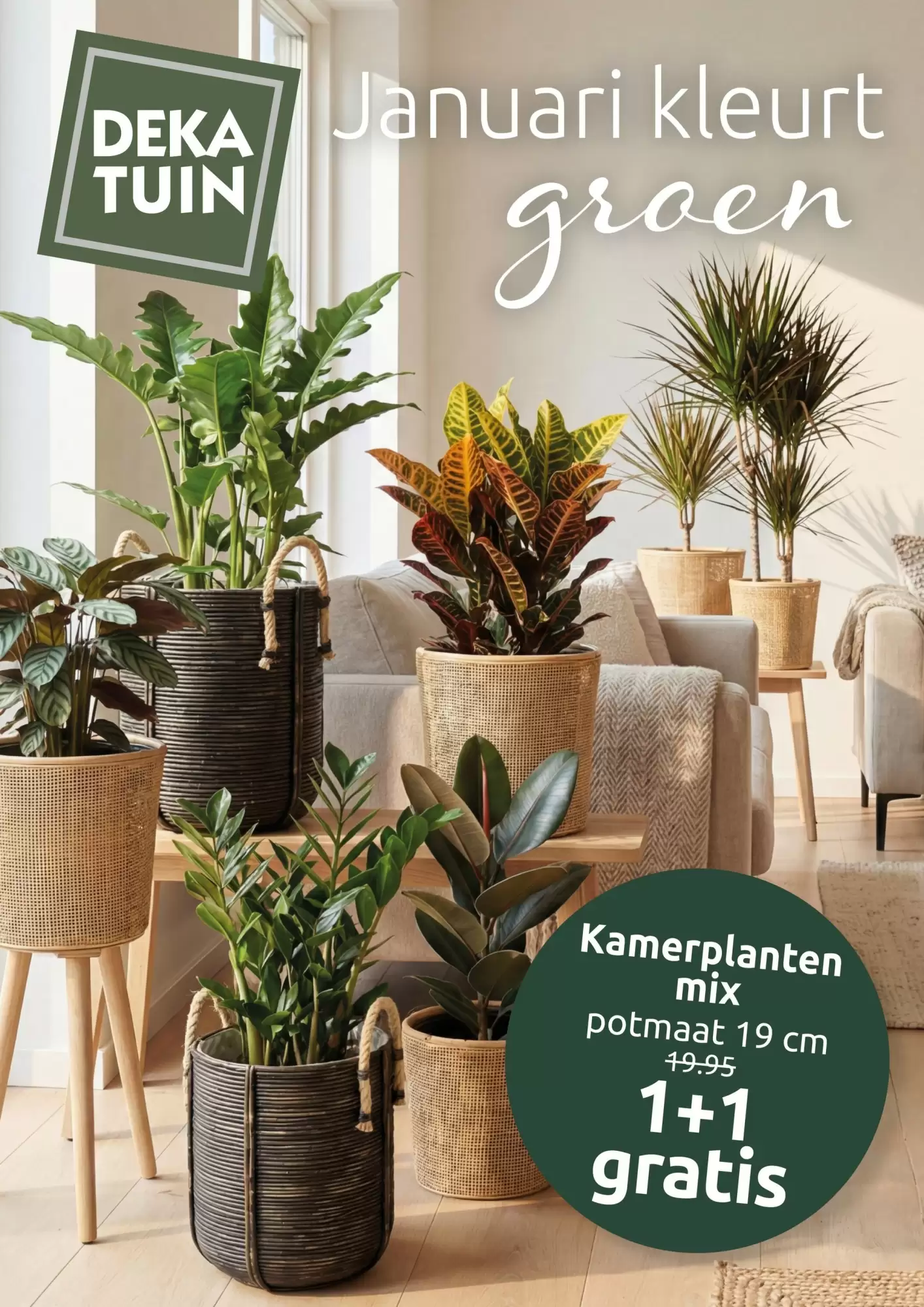 Deka Tuin Folder 19.01.2026 - 01.02.2026