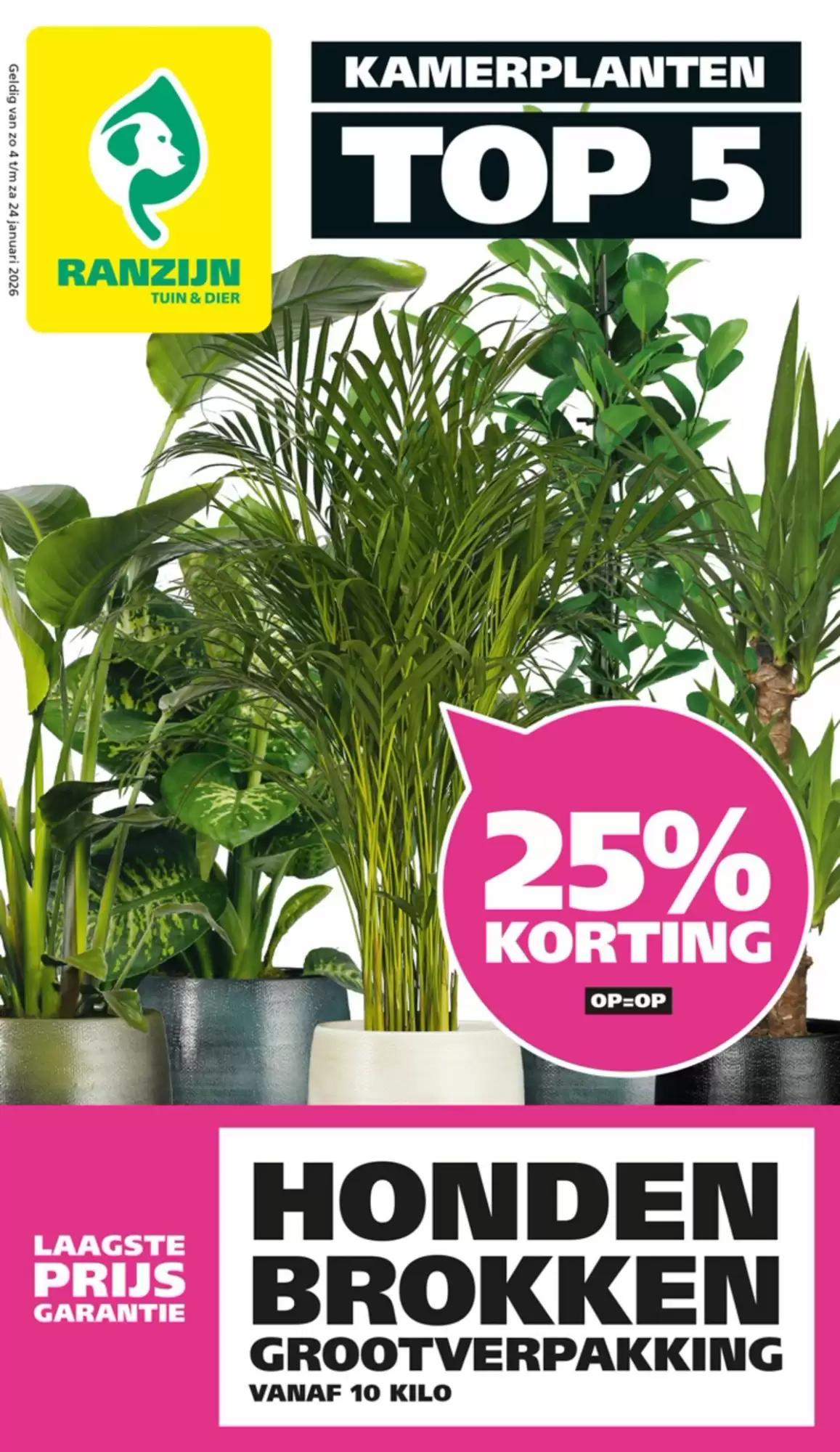 Ranzijn Folder 04.01.2026 - 24.01.2026