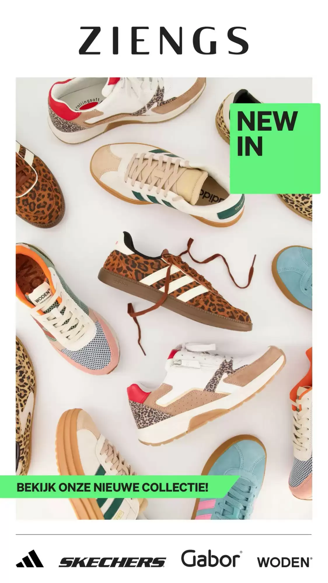 Ziengs Folder 24.01.2026 - 22.02.2026