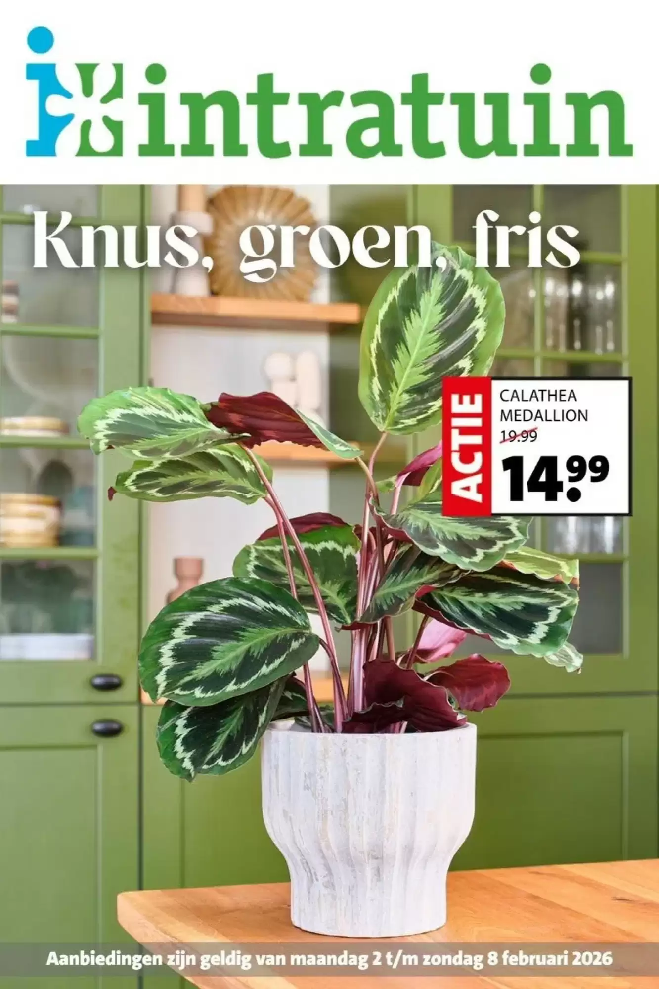 Intratuin Folder 02.02.2026 - 08.02.2026