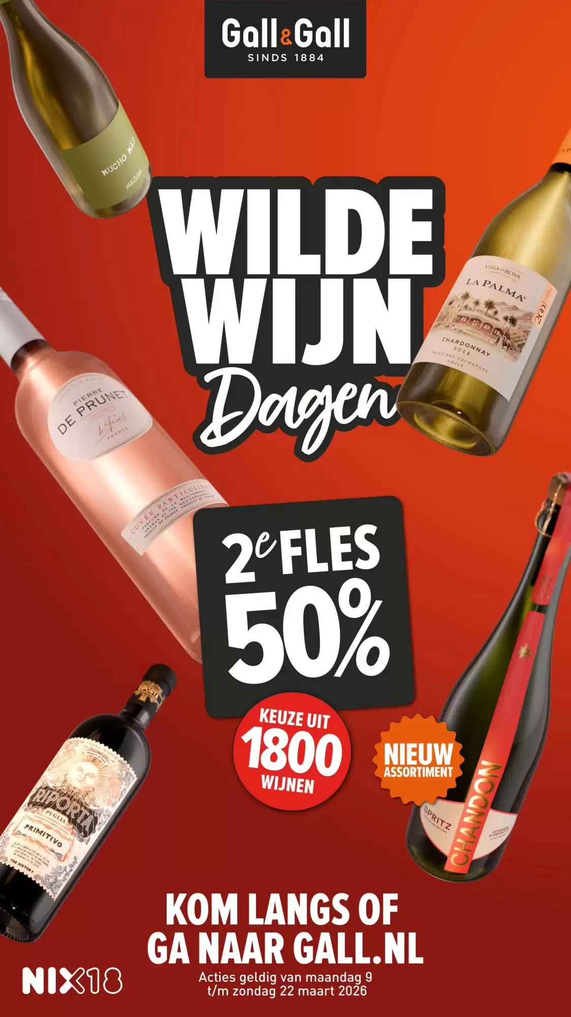 GALL&GALL Folder Week 11 – 09.03.2026 – 15.03.2026