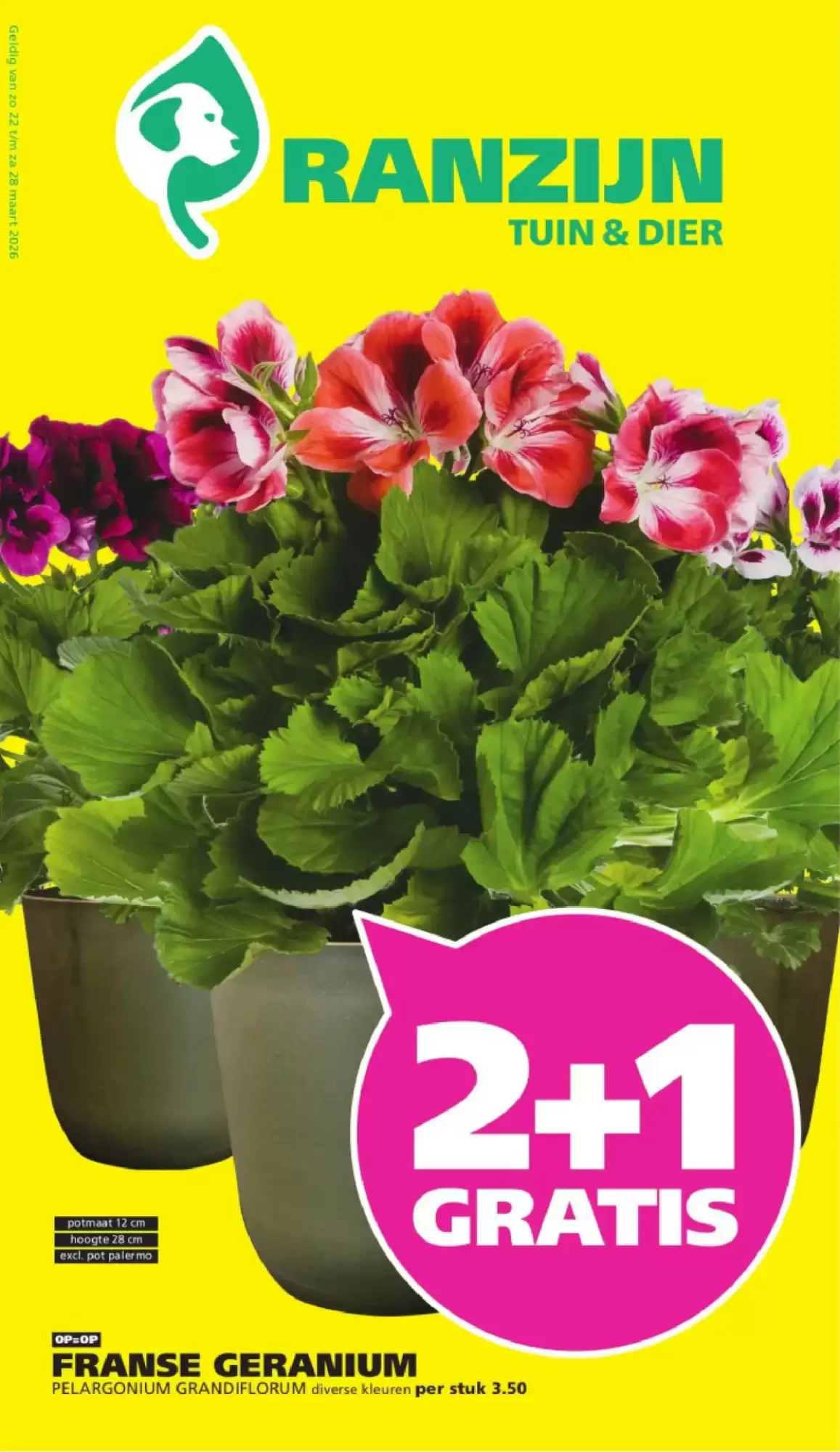 Ranzijn Folder Week 12 – 22.03.2026 – 28.03.2026