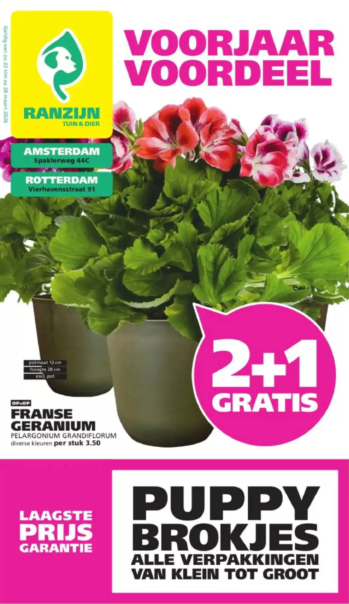 Ranzijn Folder Week 12 – 22.03.2026 – 28.03.2026