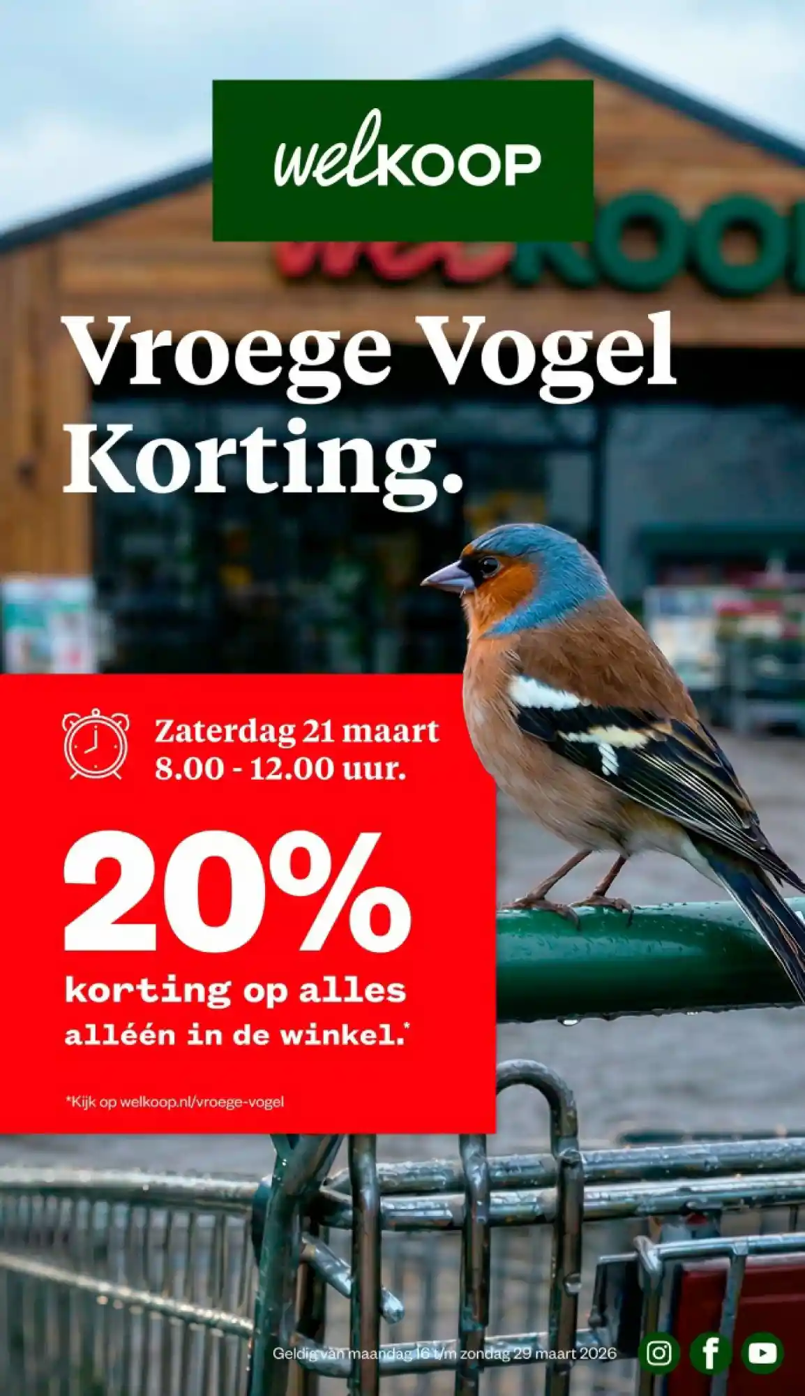 Welkoop Folder Week 12 – 16.03.2026 – 29.03.2026