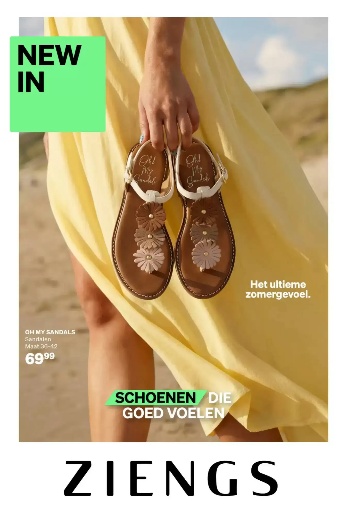 Ziengs Folder Week 23 – 01.06.2026 – 21.06.2026