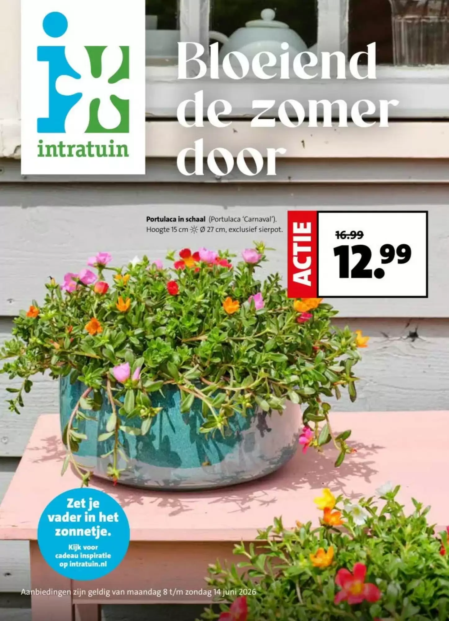 Intratuin Folder Week 24 – 08.06.2026 – 14.06.2026