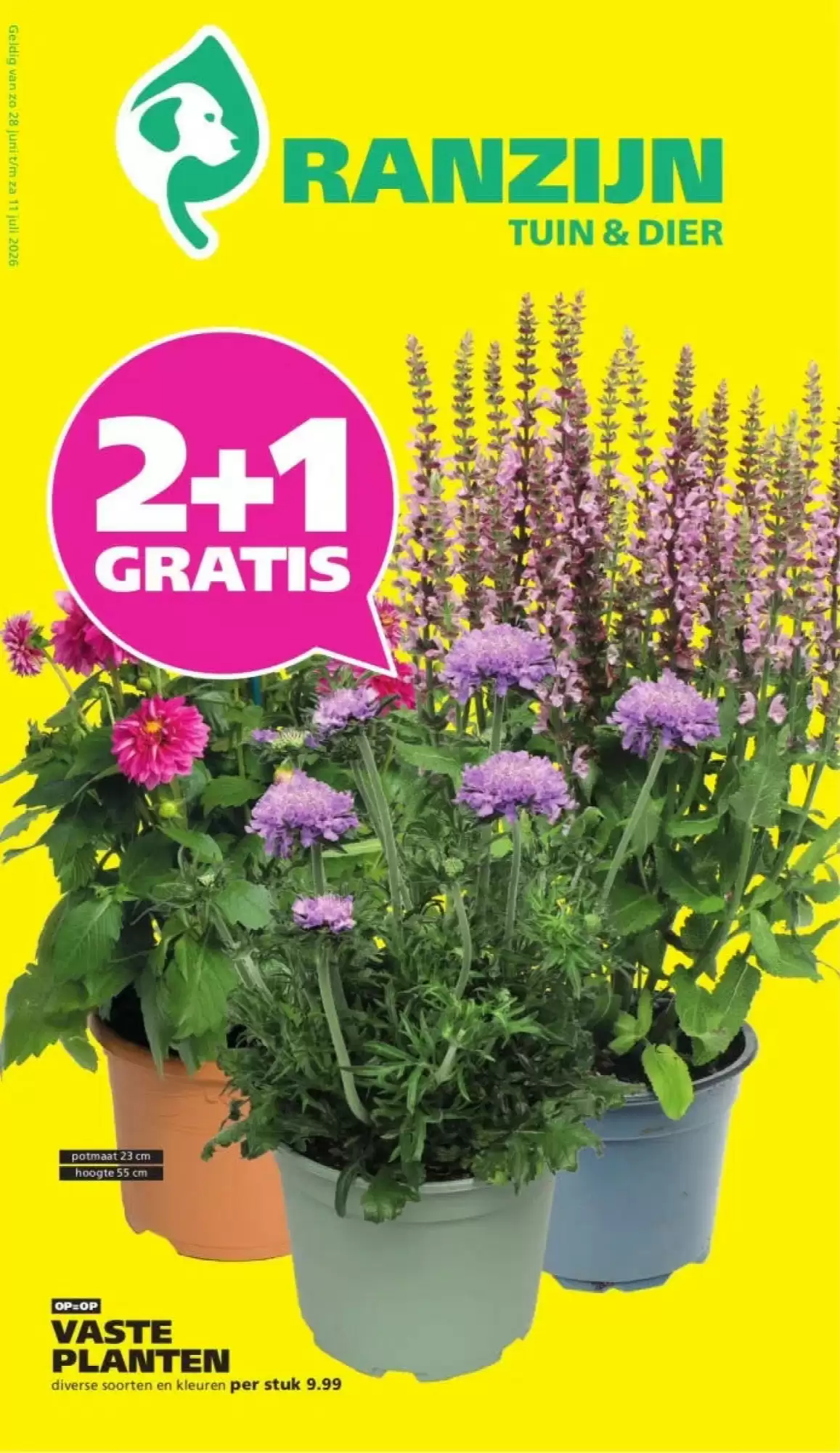 Ranzijn Folder Week 26 – 28.06.2026 – 11.07.2026