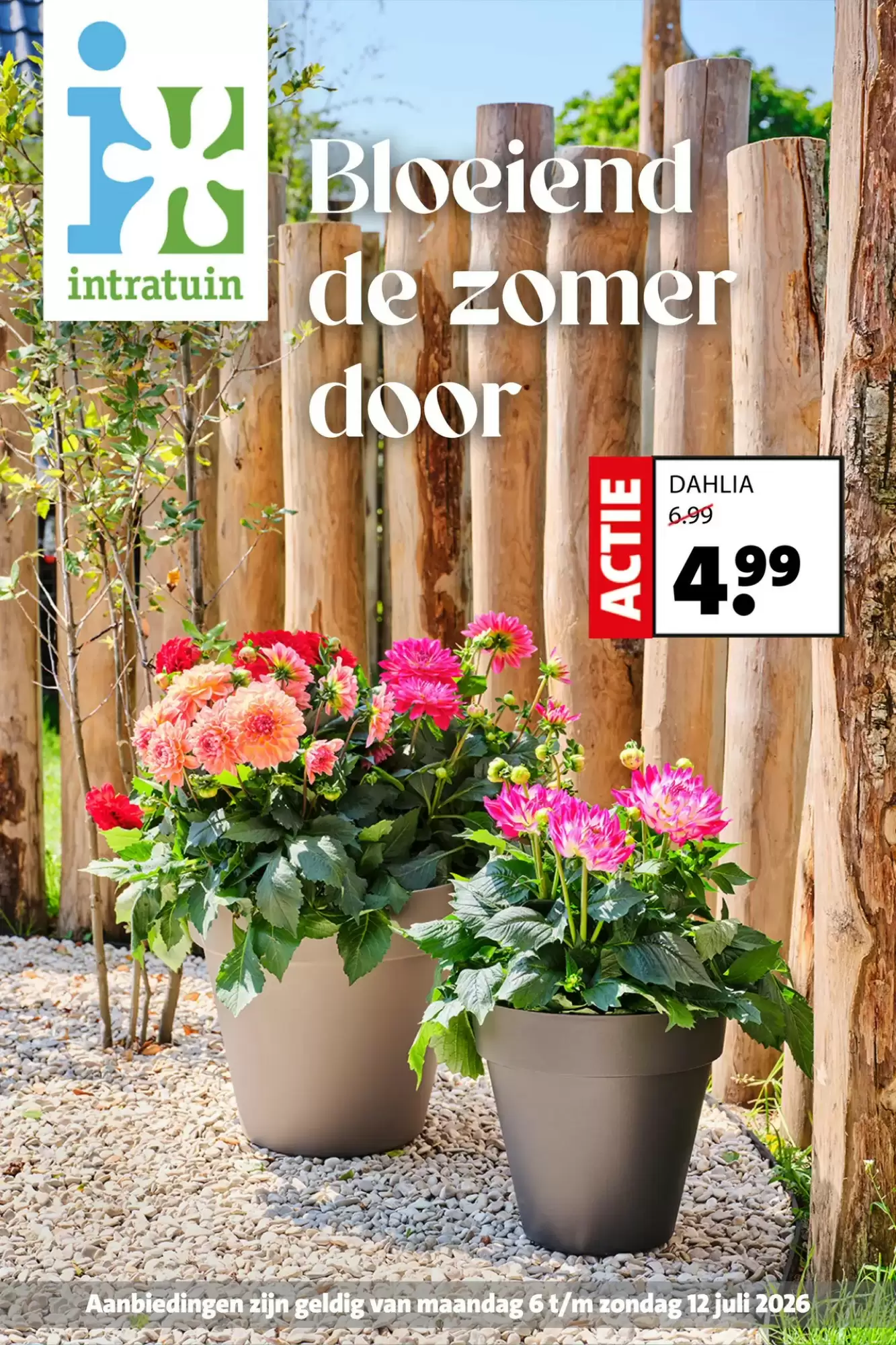 Intratuin Folder Week 28 – 06.07.2026 – 12.07.2026