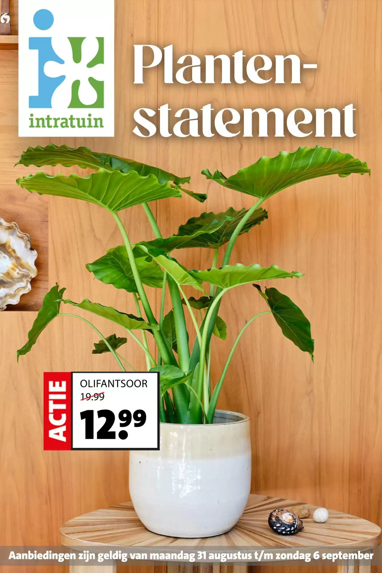 Intratuin Folder Week 36 – 31.08.2026 – 06.09.2026