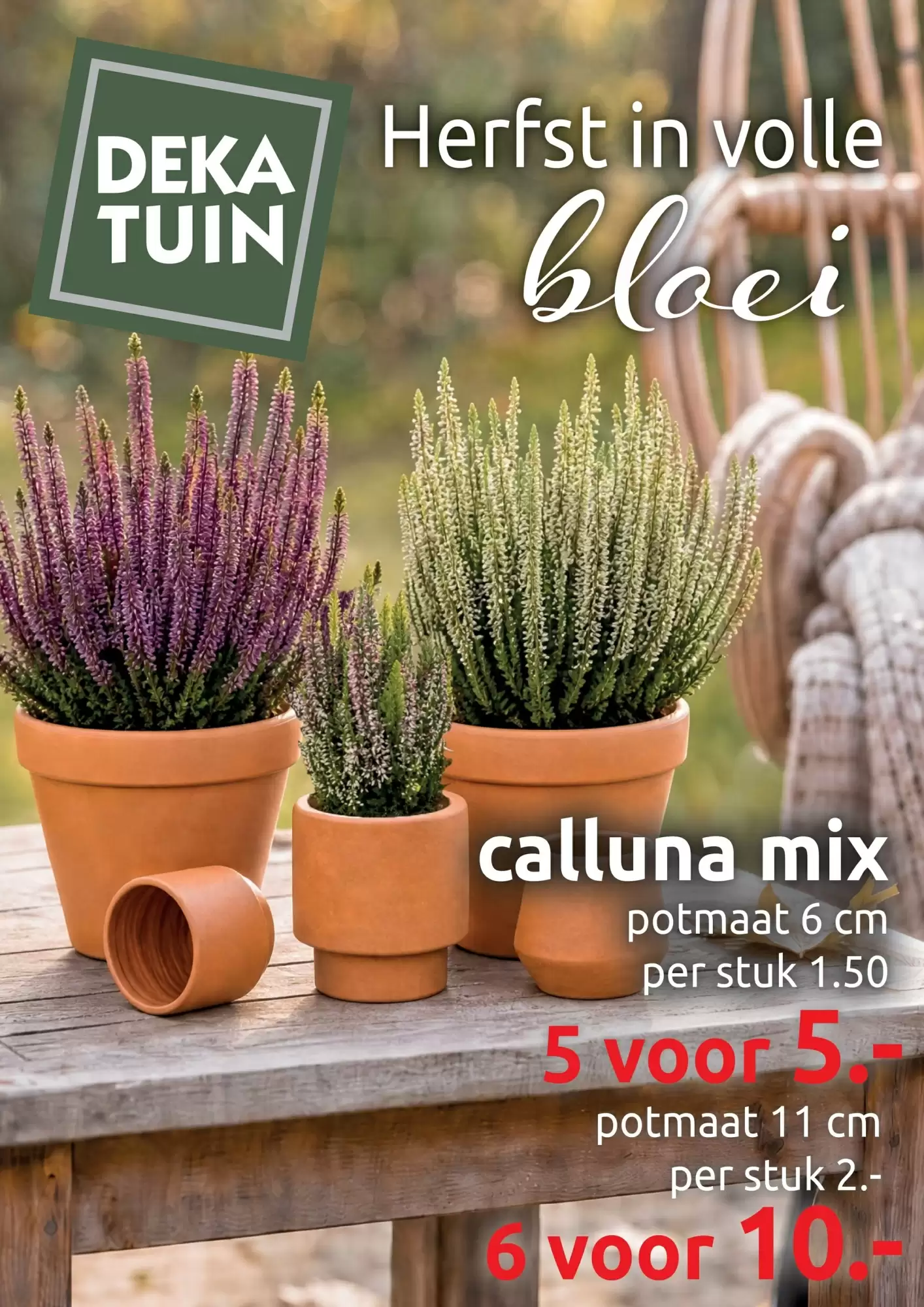 Deka Tuin Folder Week 38 – 14.09.2026 – 27.09.2026