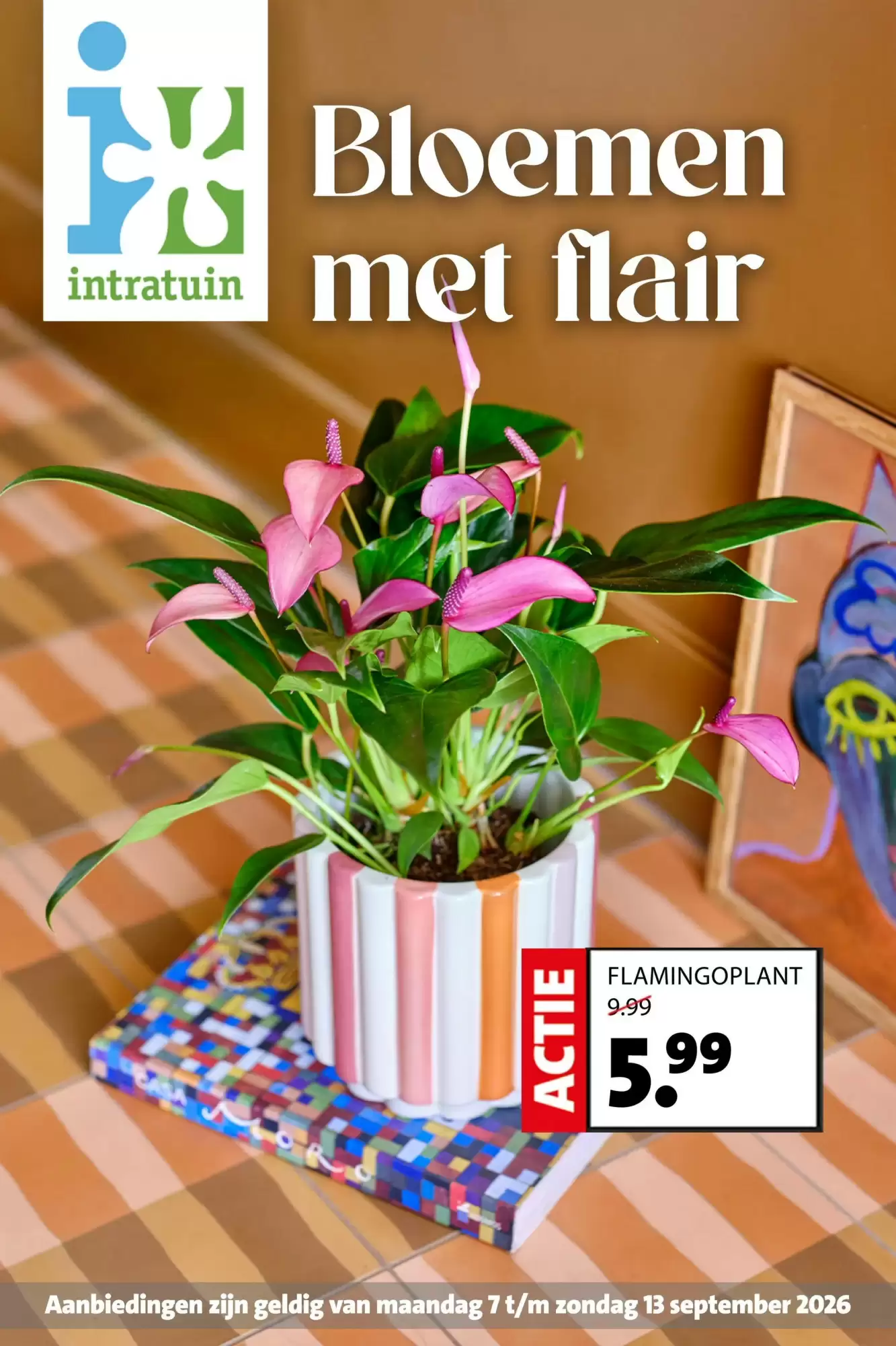 Intratuin Folder Week 37 – 07.09.2026 – 13.09.2026