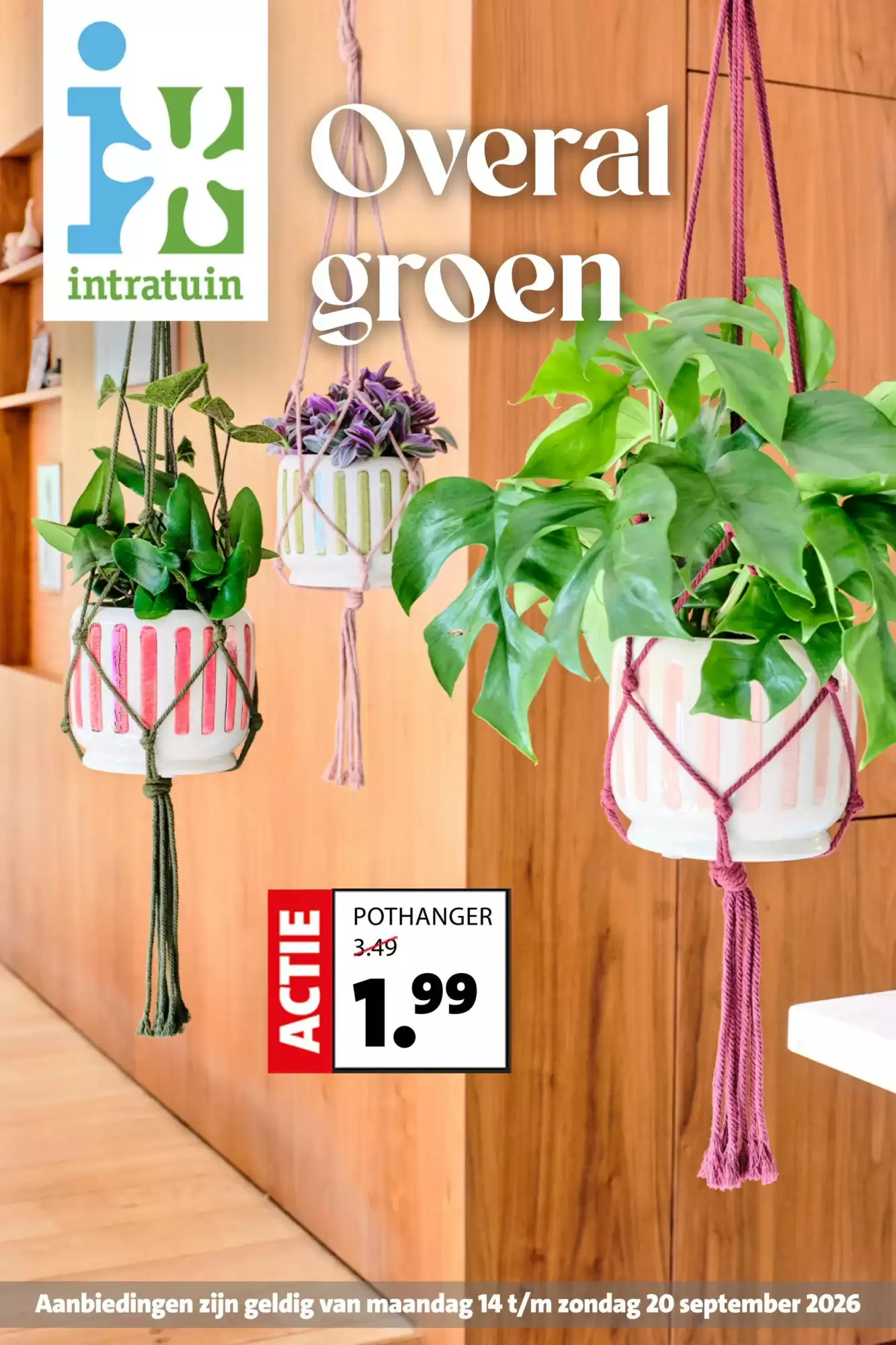 Intratuin Folder Week 38 – 14.09.2026 – 20.09.2026